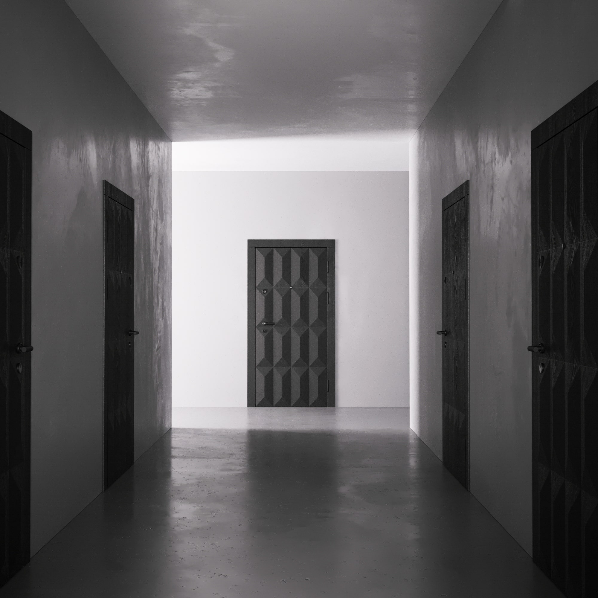 Двері Артиз